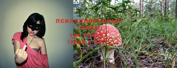 тгк Алексин