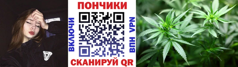Бошки марихуана SATIVA & INDICA  где купить наркотик  Дмитров 